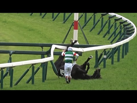【日本ダービー2023】倒れたスキルヴィングに寄り添うルメール騎手 下馬〜馬運車までの一部始終【現地映像】