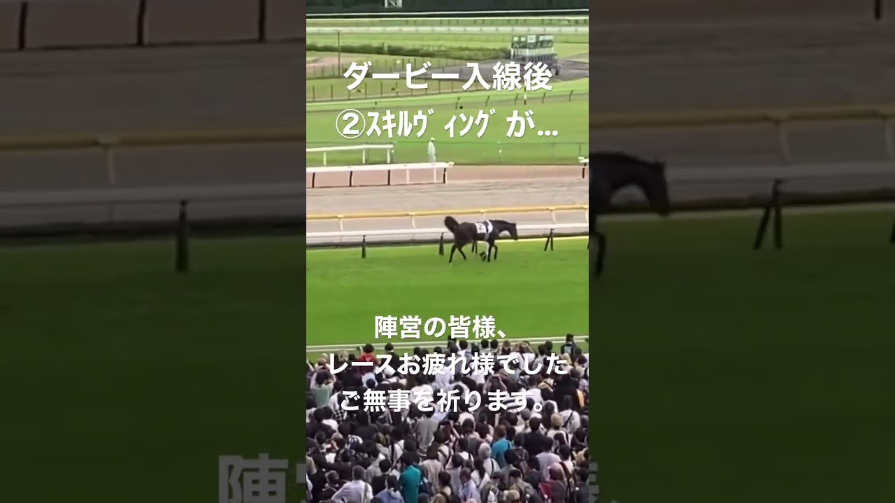 日本ダービー入線後、スキルヴィングが倒れる。 #競馬 #日本ダービー #スキルヴィング #shorts