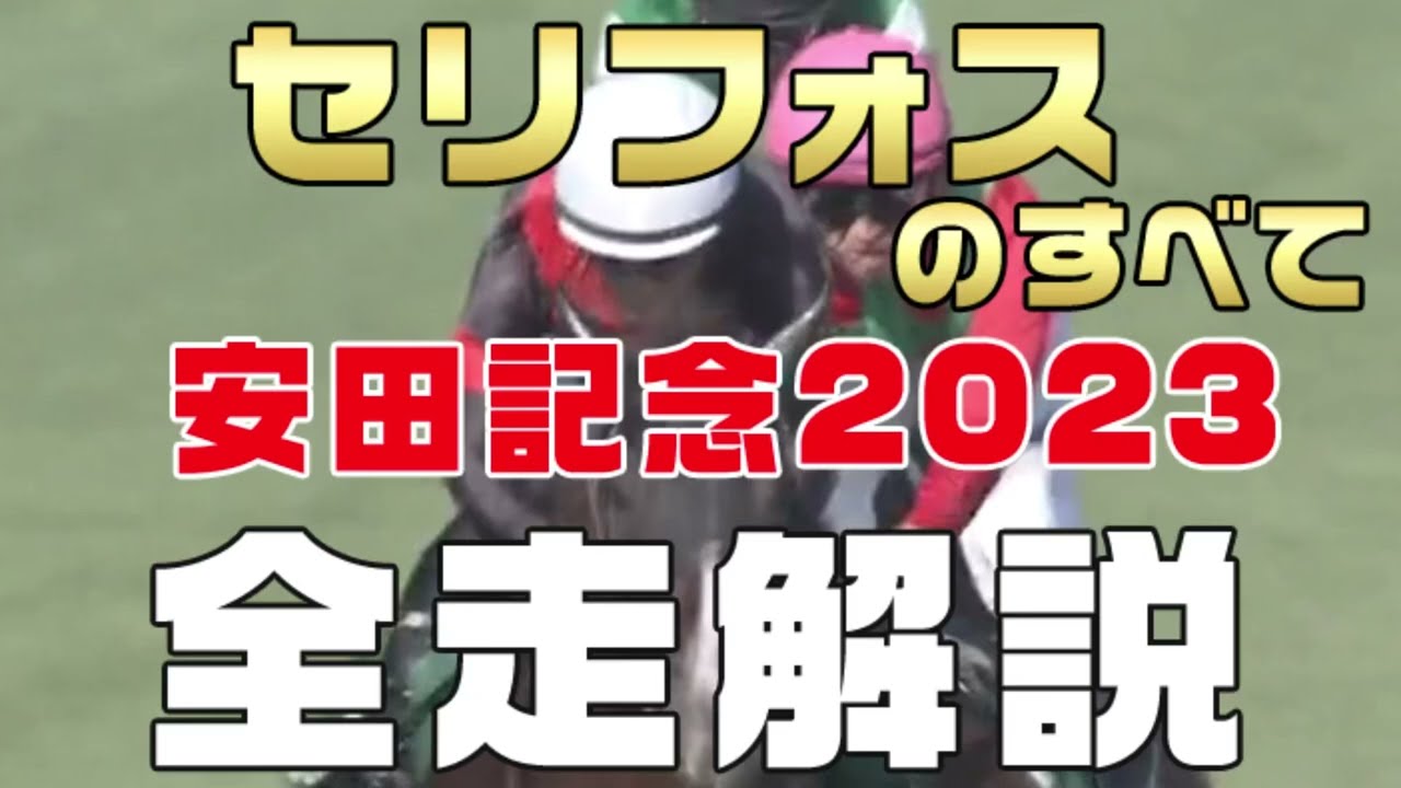 【セリフォスのすべて】（安田記念2023）新馬戦から前走までのレースぶりを振り返ってみました。