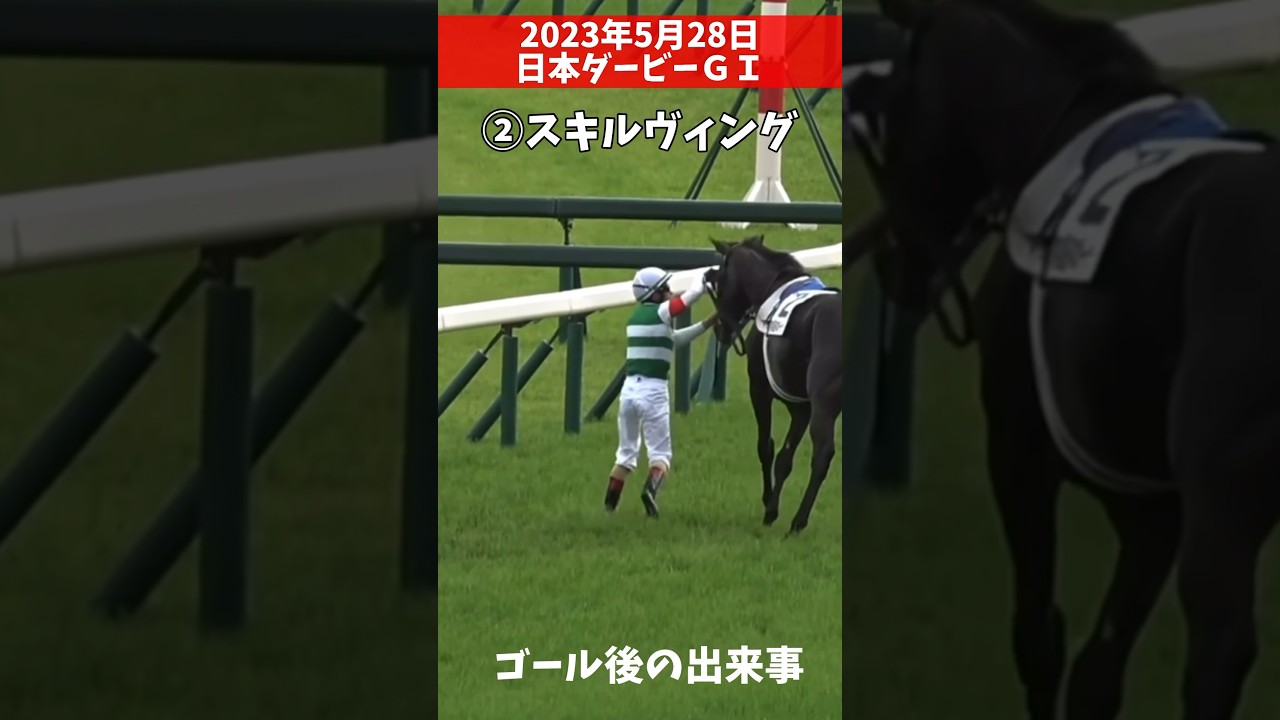 悲報【日本ダービー】【スキルヴィング】【ルメール】