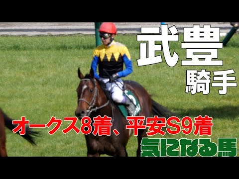 【武豊】残念！オークス8着、平安ステークス9着 今週は日本ダービー、ファントムシーフに期待！