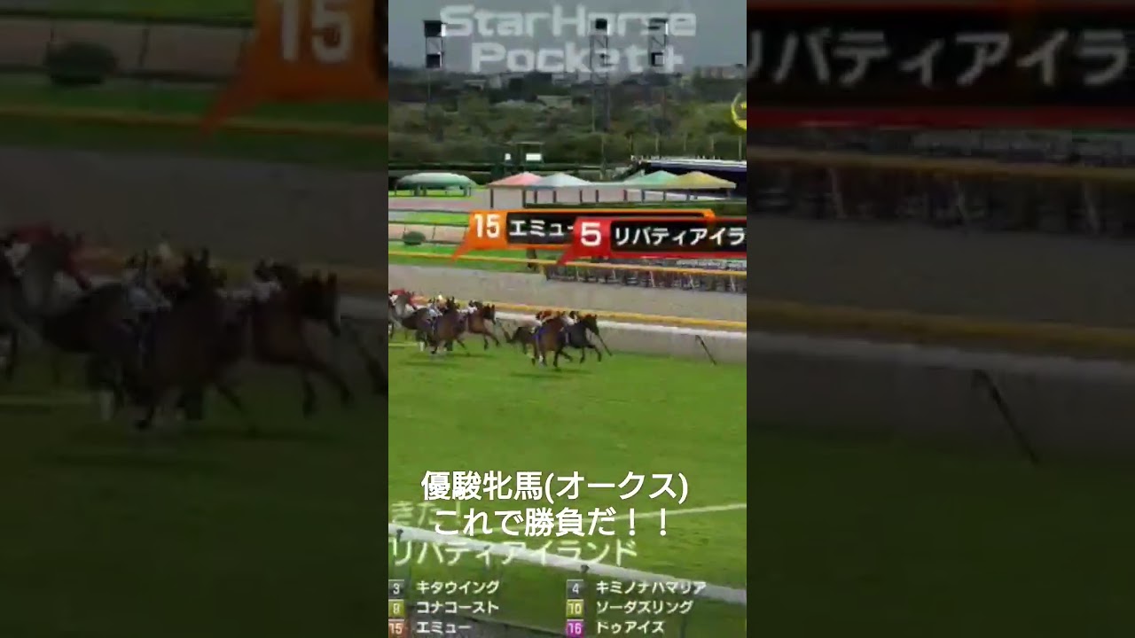 #競馬予想 #優駿牝馬 #競馬 #牝馬 #勝負 #勝負馬券