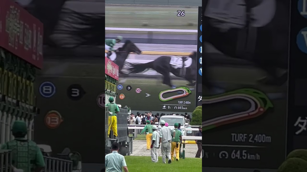 目の前で本命が落馬。。レースそっちのけで推しの坂井瑠星君を追ってました。。来年こそは🔥#ダービー #ドゥラエレーデ#坂井瑠星#未来のダービージョッキー#日本ダービー