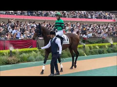 ハーツコンチェルト･東京･東京優駿日本ダービー 2023年5月28日