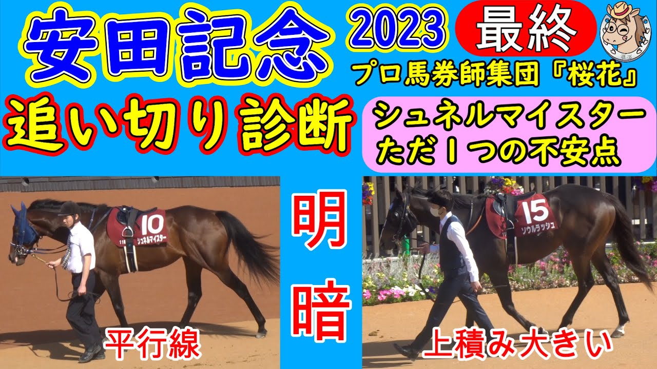 安田記念2023最終追い切り診断！人気のシュネルマイスターに上積みあるのか？ジャックドールの追い切りの走りは良いが？豪華メンバーだがプロ馬券師集団桜花がしっかりと走りを分析評価する！