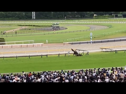 【波乱】日本ダービーでスキルヴィングが騎手を降ろすまで守った最後の勇姿