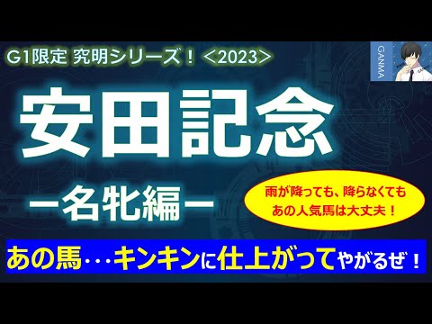 【安田記念2023＜名牝編＞】マイルG1の実績が抜群！雨が降っても、降らなくても大丈夫！～あの穴馬・・・キンキンに仕上がってやがるぜ！能力全開だ！～