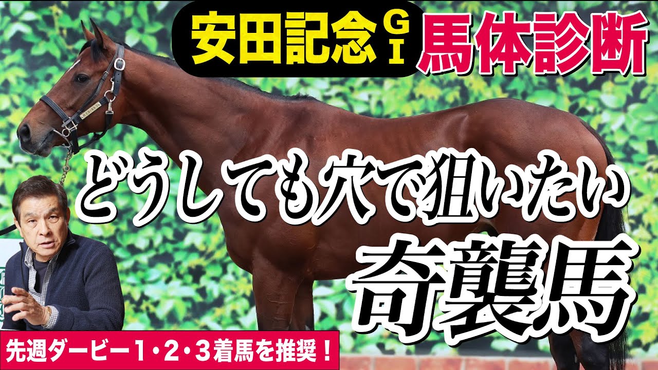 【安田記念2023】中村均元調教師が馬体診断　G１馬５頭を徹底解説＆G１馬にも負けない馬体を持つ穴馬とは《東スポ競馬ニュース》