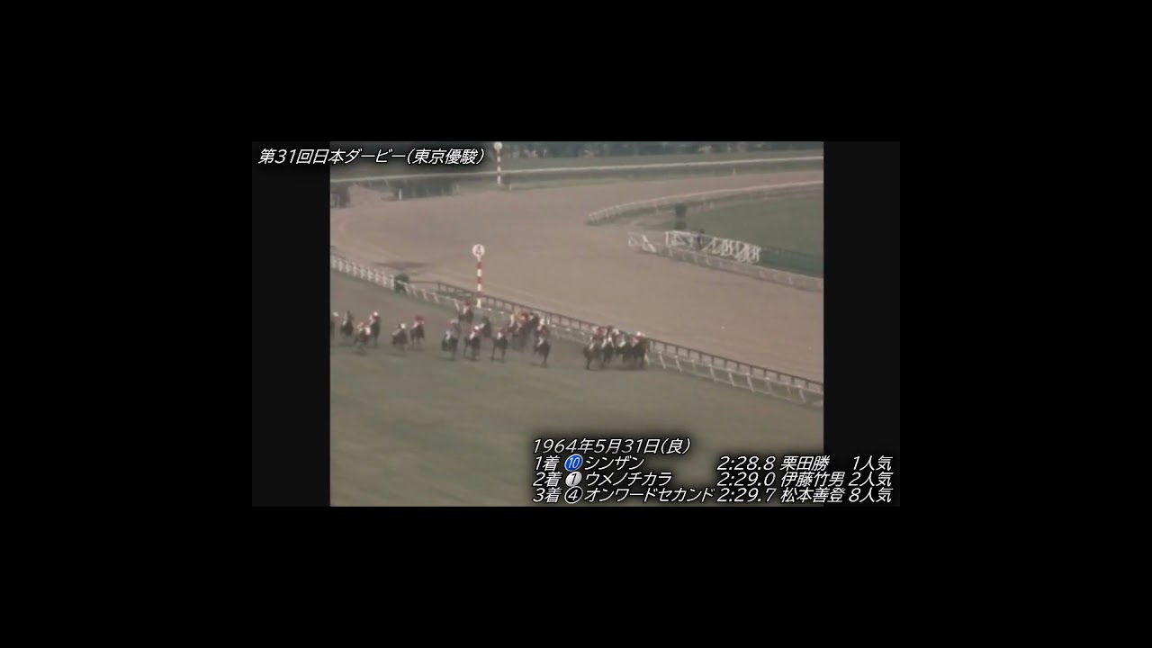 ナタの切れ味シンザン 第31回 東京優駿(日本ダービー) 1964年