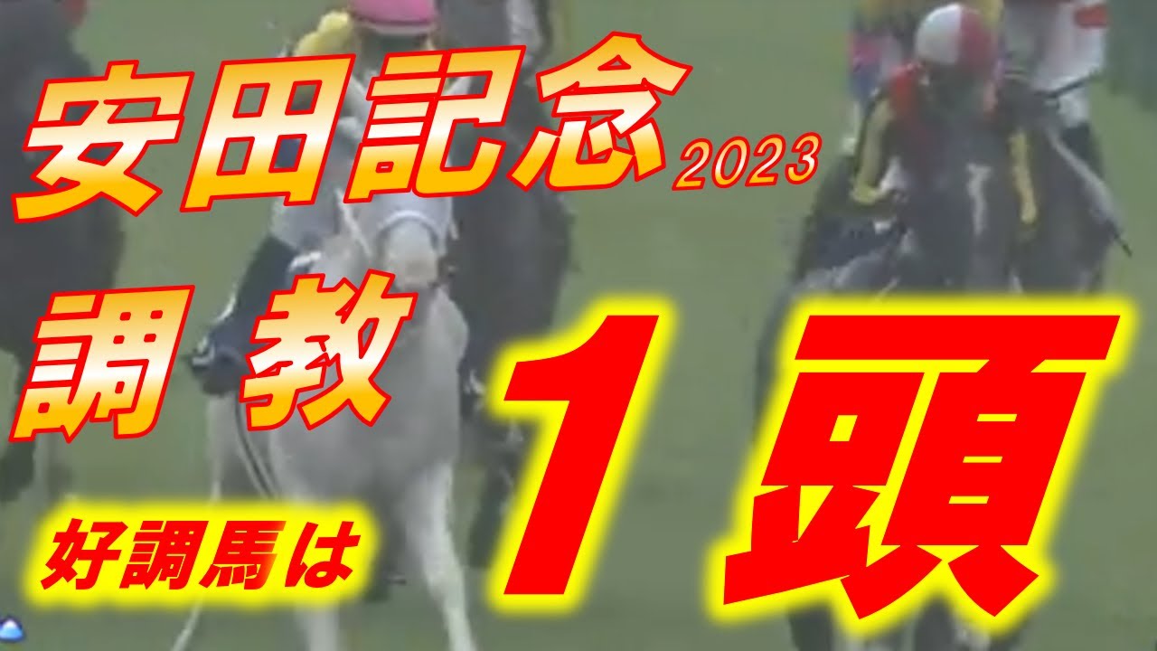 安田記念2023　追い切り診断！！　100点馬が出現！！　ジャックドール、シュネルマイスターの評価は！？　元馬術選手のコラム【競馬】