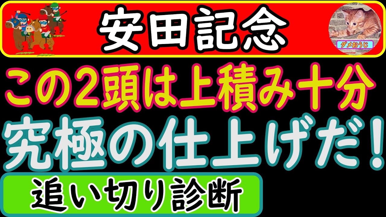 安田記念2023年の追い切り診断です！予想オッズ上位馬の調教を診断しました