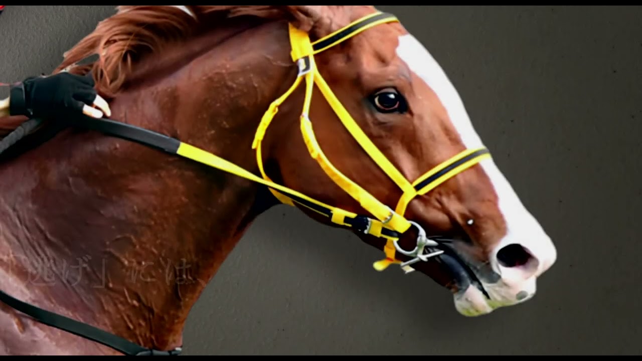 ジャックドール 大阪杯 【20th Century Boy】 JRA風CM