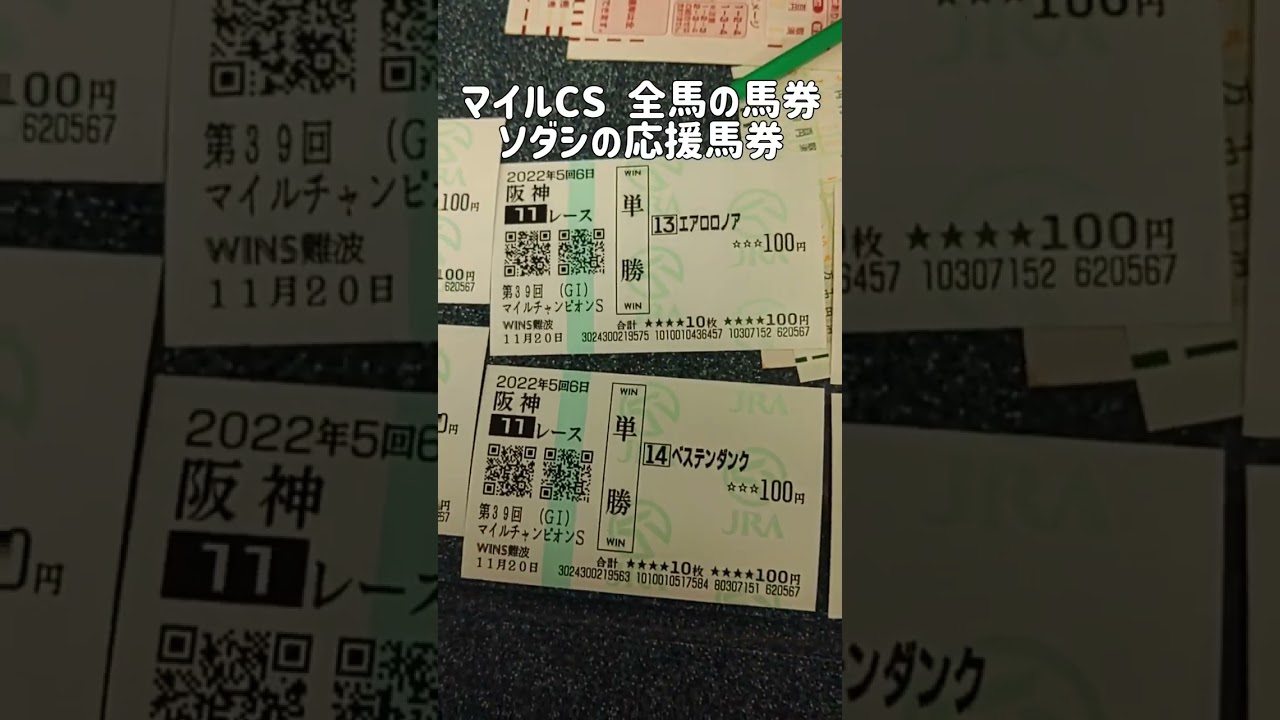 マイルCS･G1全馬の記念馬券とソダシ応援馬券