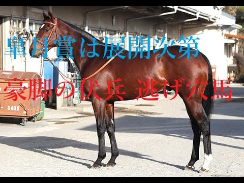 皐月賞 2023 好走穴馬は流れで変わる 高配当は決め打ちで狙え！！簡単明快な展開解説と波乱のパターン