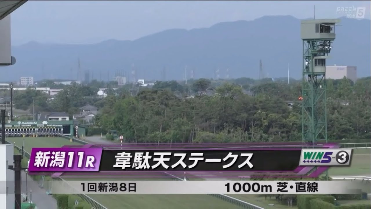 韋駄天ステークス［2023.5.21 新潟第11R/1000m 芝・直線］