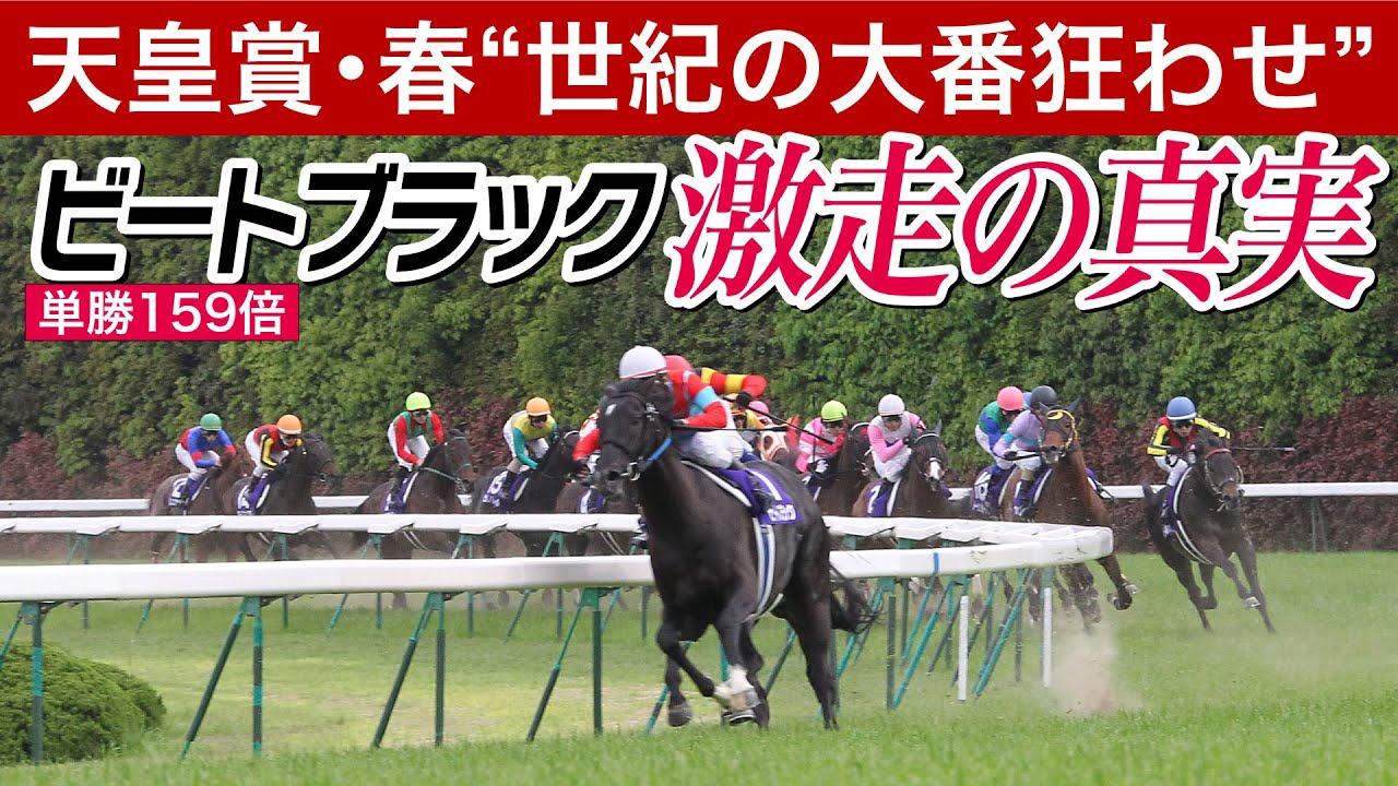 【天皇賞・春】世紀の大番狂わせ！14番人気ビートブラックで３冠馬オルフェーヴルを破った中村均元調教師が思い出を語る＜東スポ競馬ニュース＞