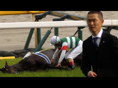 【閲覧注意！】日本ダービーレース後2番人気スキルヴィングが急性心不全でゴール入線後死す　ルメール「とても楽しみにしていた馬だけにとても悲しい」、木村哲也師「期待の大きな馬でこの先もと思っていただけに」