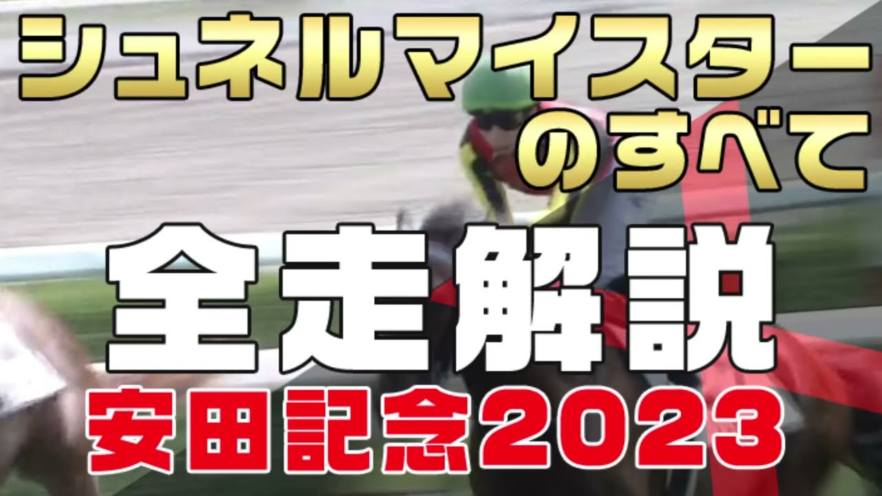 【シュネルマイスターのすべて】（安田記念2023）新馬戦から前走までのレースぶりを振り返ってみました。