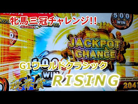 ２０４　メダルゲーム　G１ワールドクラシック　ライジング　RISING　番外編　【牝馬三冠挑戦】　ゲスノキワミユキマ　秋華賞　メイン店舗