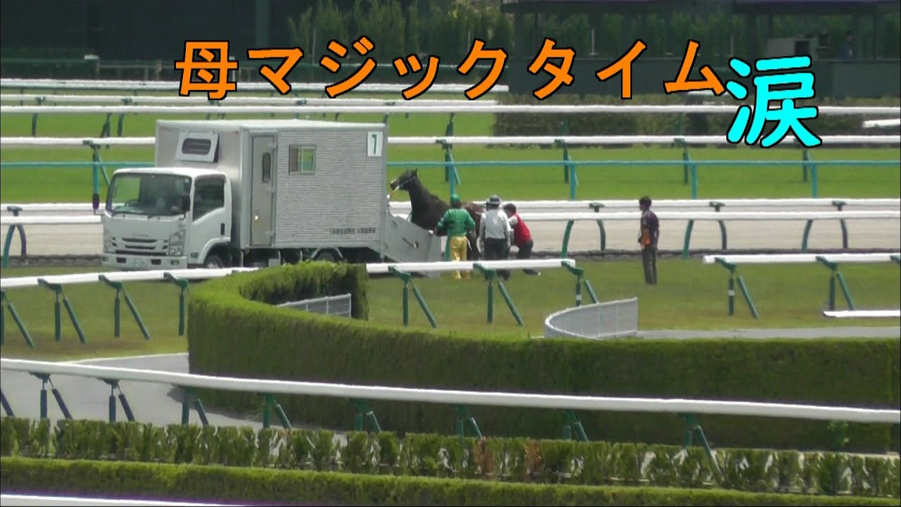 障害　アメイジングタイム落馬　アルジャンナ故障発生