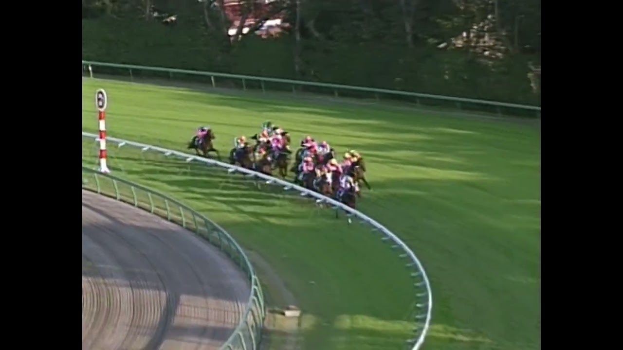 ナリタトップロード 2002年 第126回天皇賞(秋)(GI) (優勝馬：シンボリクリスエス)