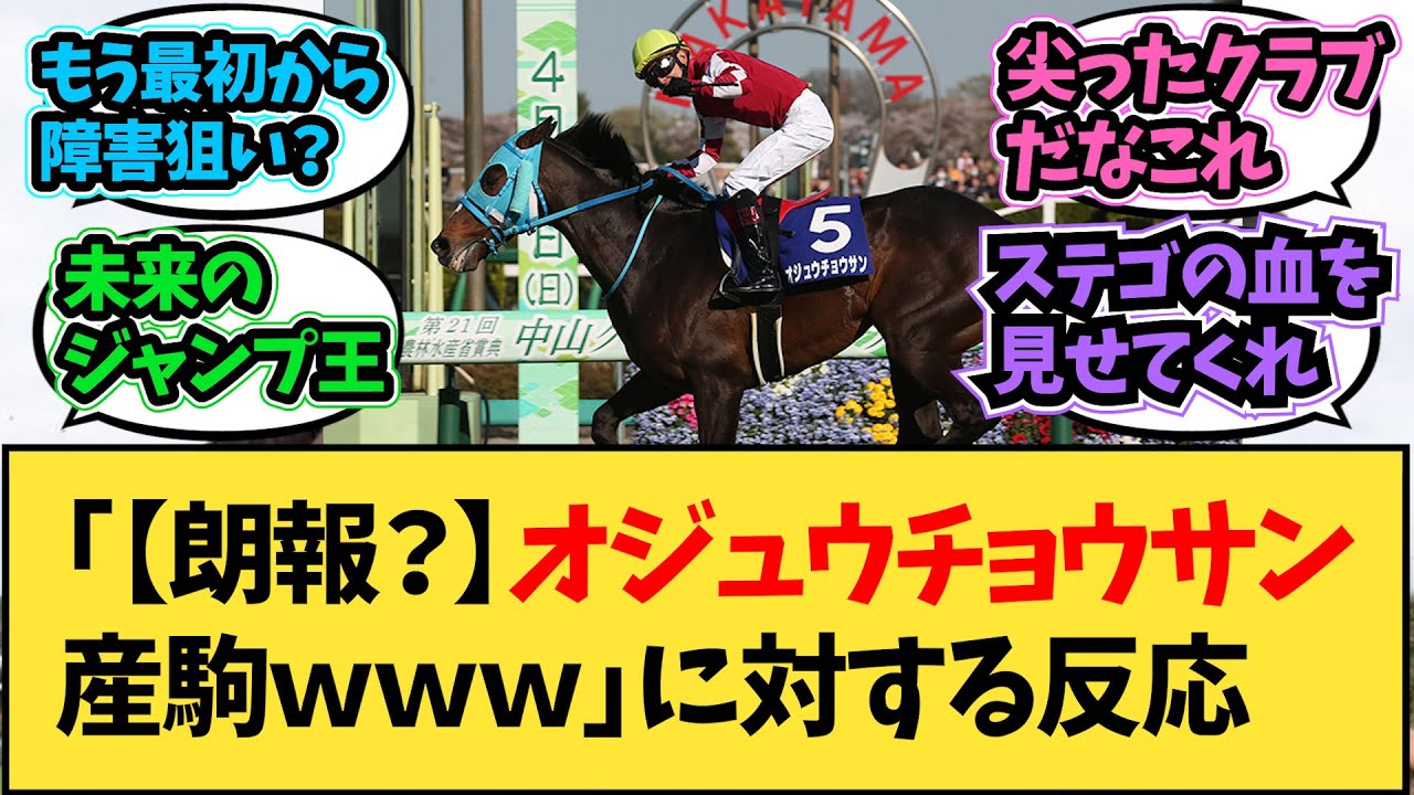 【競馬】「【朗報？】オジュウチョウサン産駒ｗｗｗ」に対する反応ｗｗｗ【反応集】