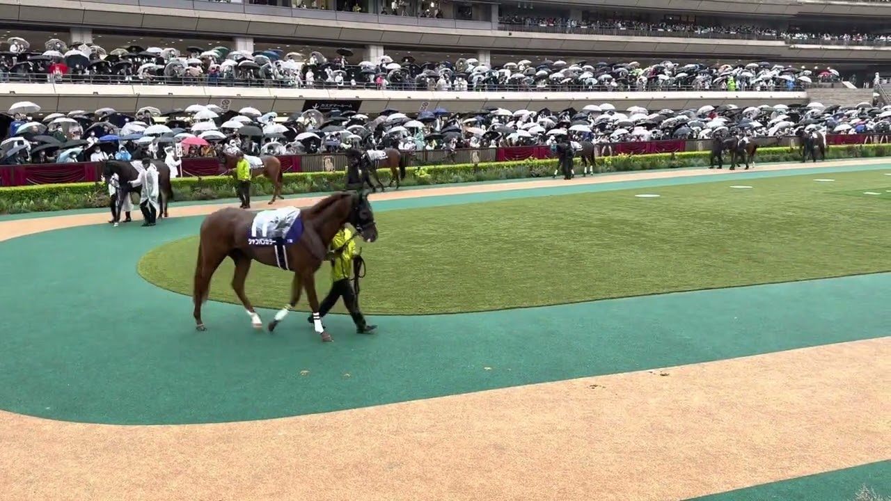 NHKマイルカップ 2023 パドック