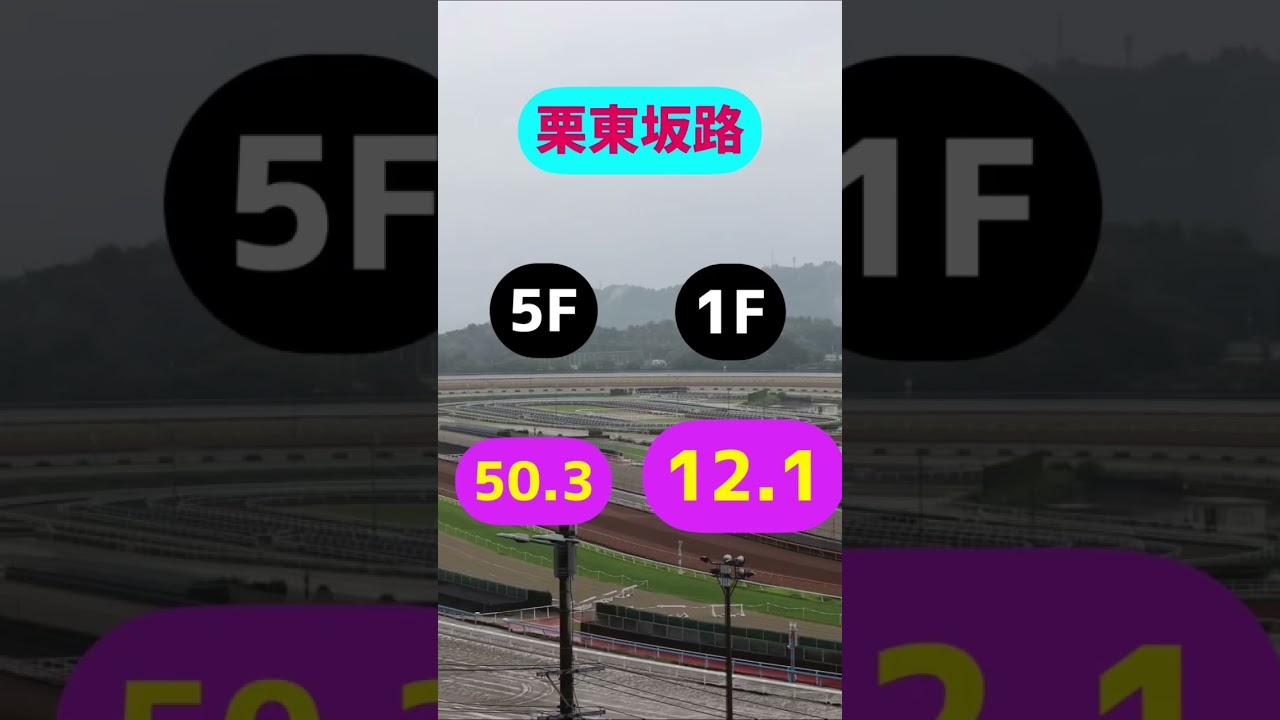 【高松宮記念】#競馬 #予想 #追い切り#高松宮記念2023#高松宮記念