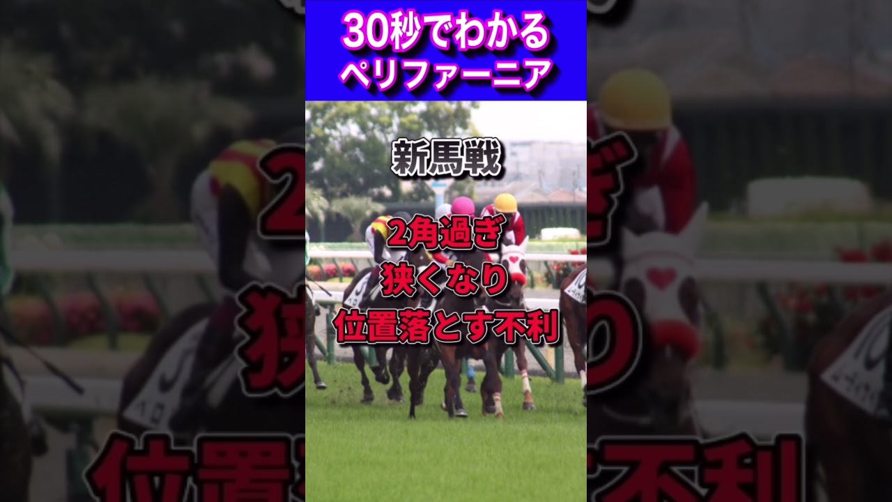【桜花賞2023】30秒ペリファーニア
