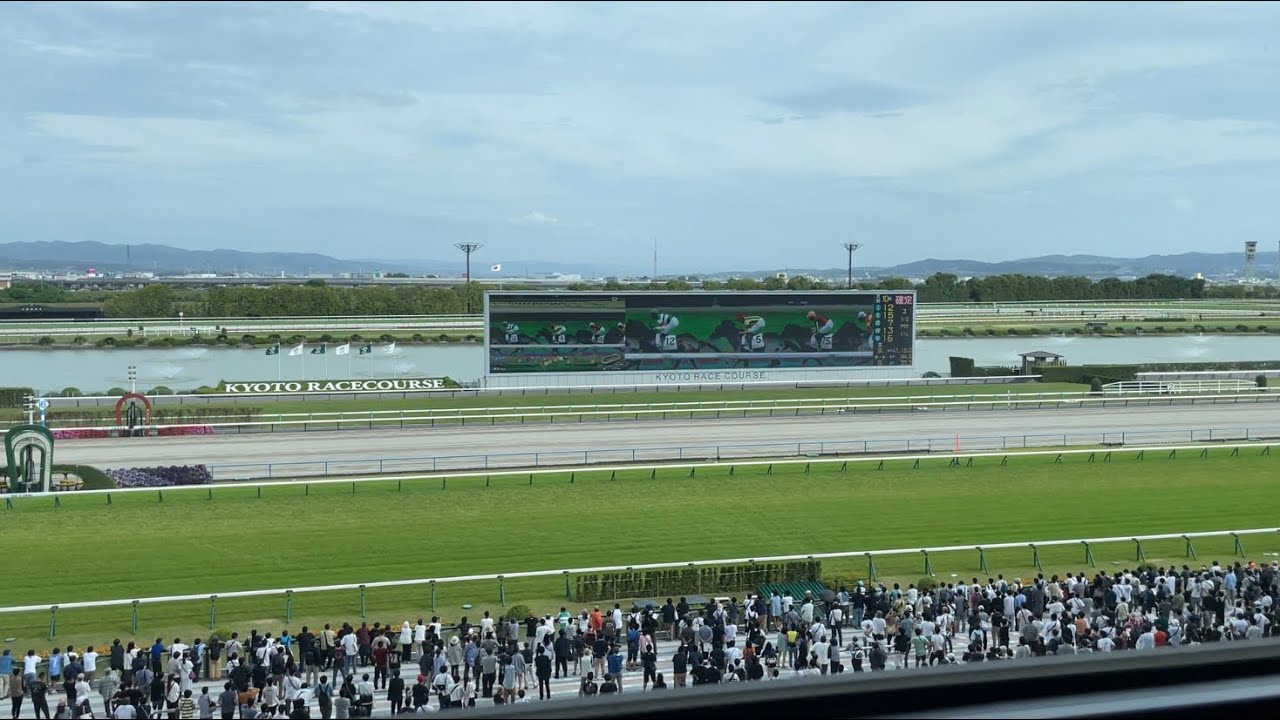 日本ダービー2023結果 京都競馬場での様子