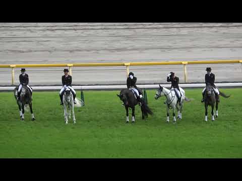 【日本ダービー2023】 石井竜也の国家独唱を聴く誘導馬たち 現地映像