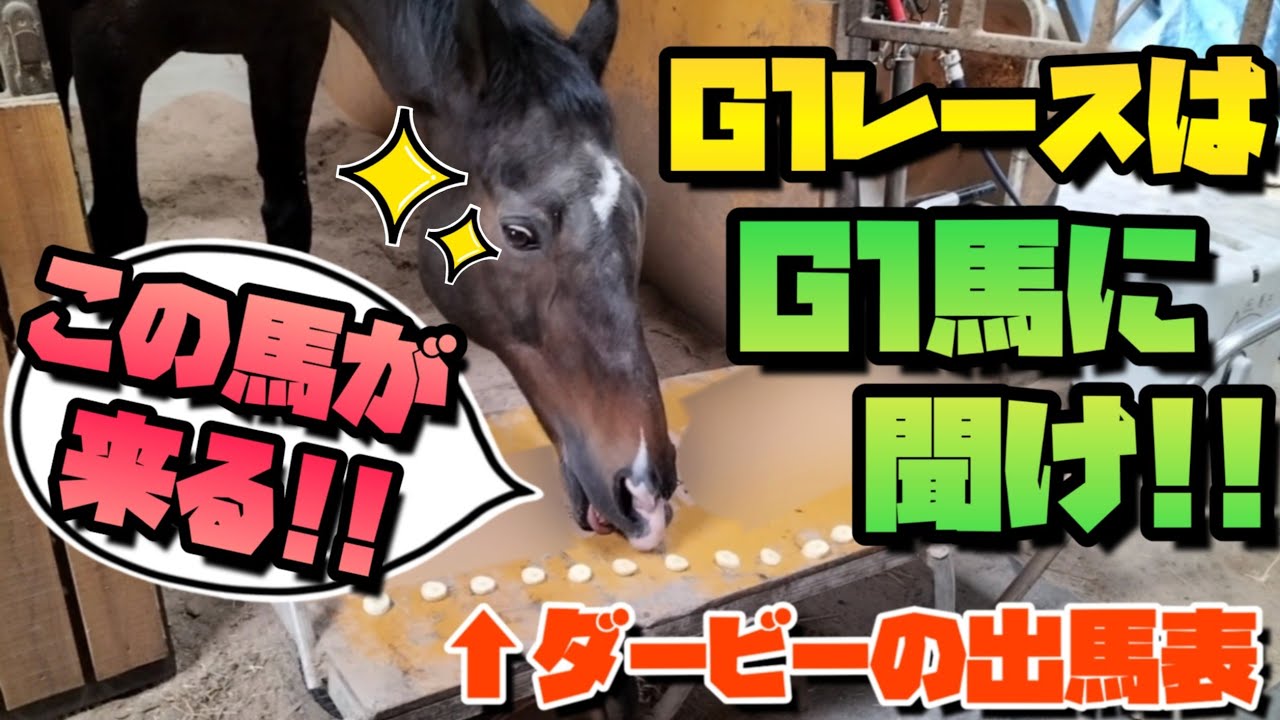 G1レースの事はG1馬に聞けッ！！日本ダービーの勝ち馬をツルマルボーイ様に予想して頂きました。【ツルマルボーイ様のシモベ】