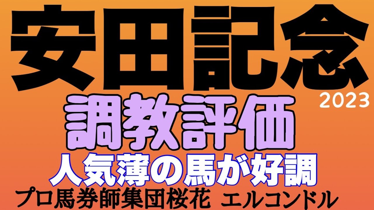 プロ馬券師集団桜花エルコンドル氏の安田記念2023調教評価！！人気集める各馬の状態は？天気が崩れると力のいる馬場の適性も求められる難しい局面！人気薄の馬の好走もありそう！