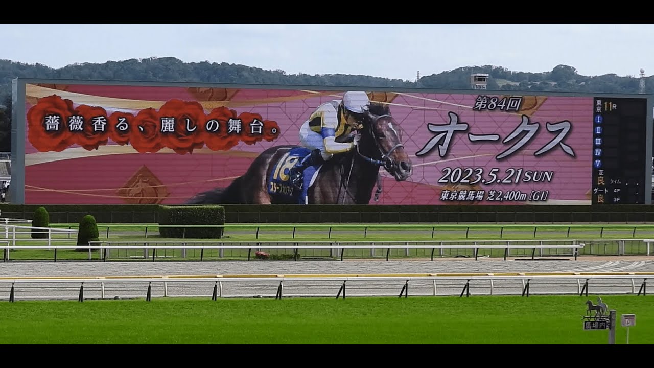 【現地撮影】20230521 第84回_オークス（優駿牝馬）東京競馬場
