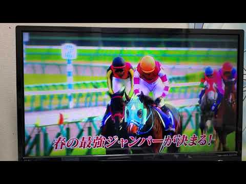競馬収録放送 第25回中山グランドジャンプ(ジャンプGⅠ)