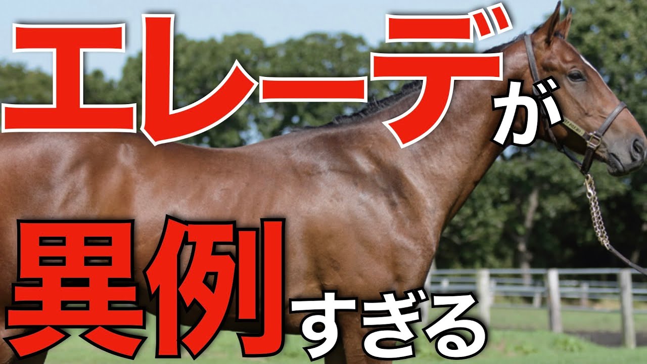 【怪物ローテ】3歳馬ドゥラエレーデがまさかの宝塚記念参戦へ！これは応援するしかない。