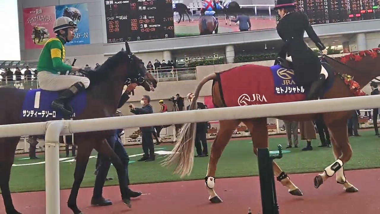 2022年　第74回阪神ジュベナイルフィリーズ　パドック