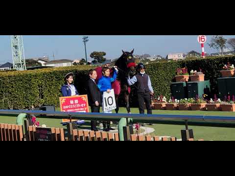 田辺裕信騎手1100勝達成❗