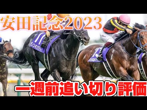 安田記念2023 一週前追い切り評価