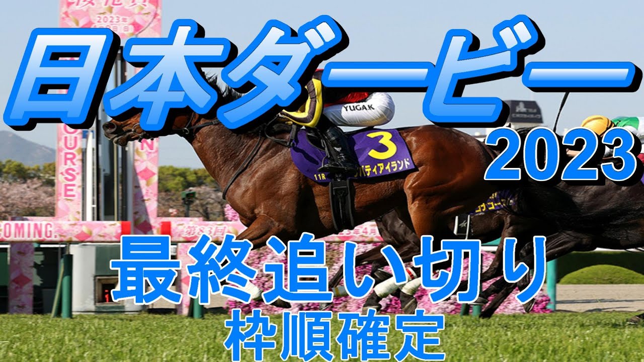 【日本ダービー2023】第90回東京優駿最終追い切り(枠順確定)