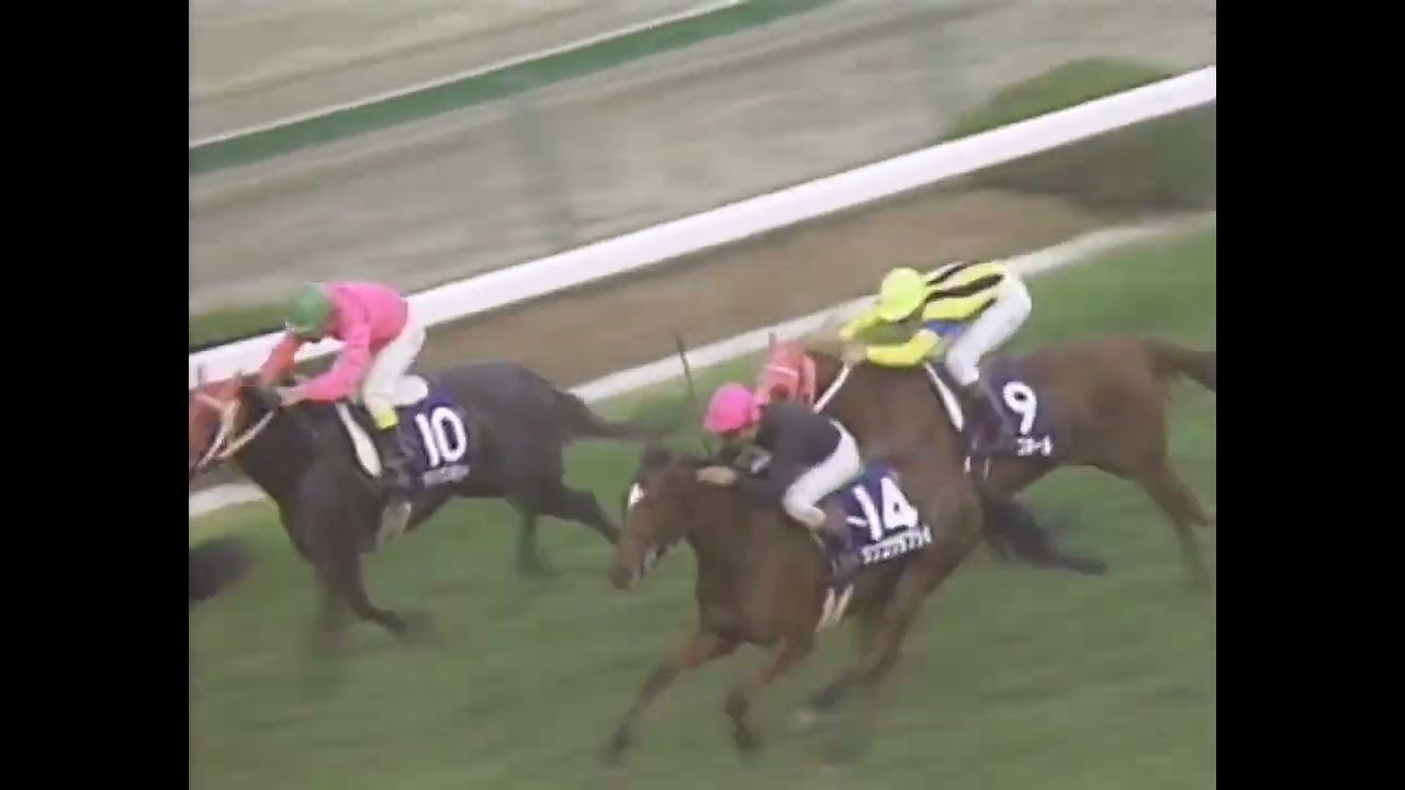 ニシノフラワー 1991年 第43回阪神3歳牝馬ステークス(GI) (優勝馬：ニシノフラワー)
