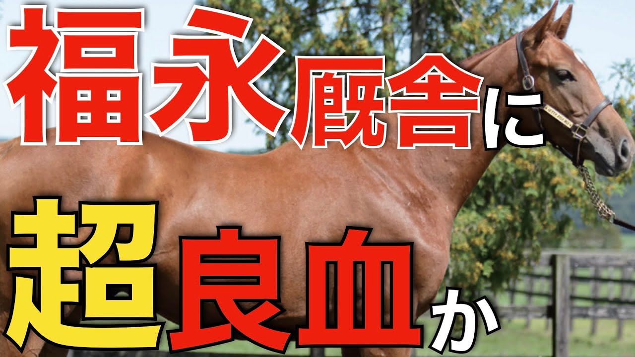 【業界騒然】福永厩舎開業初年度、超良血預託の可能性が浮上！