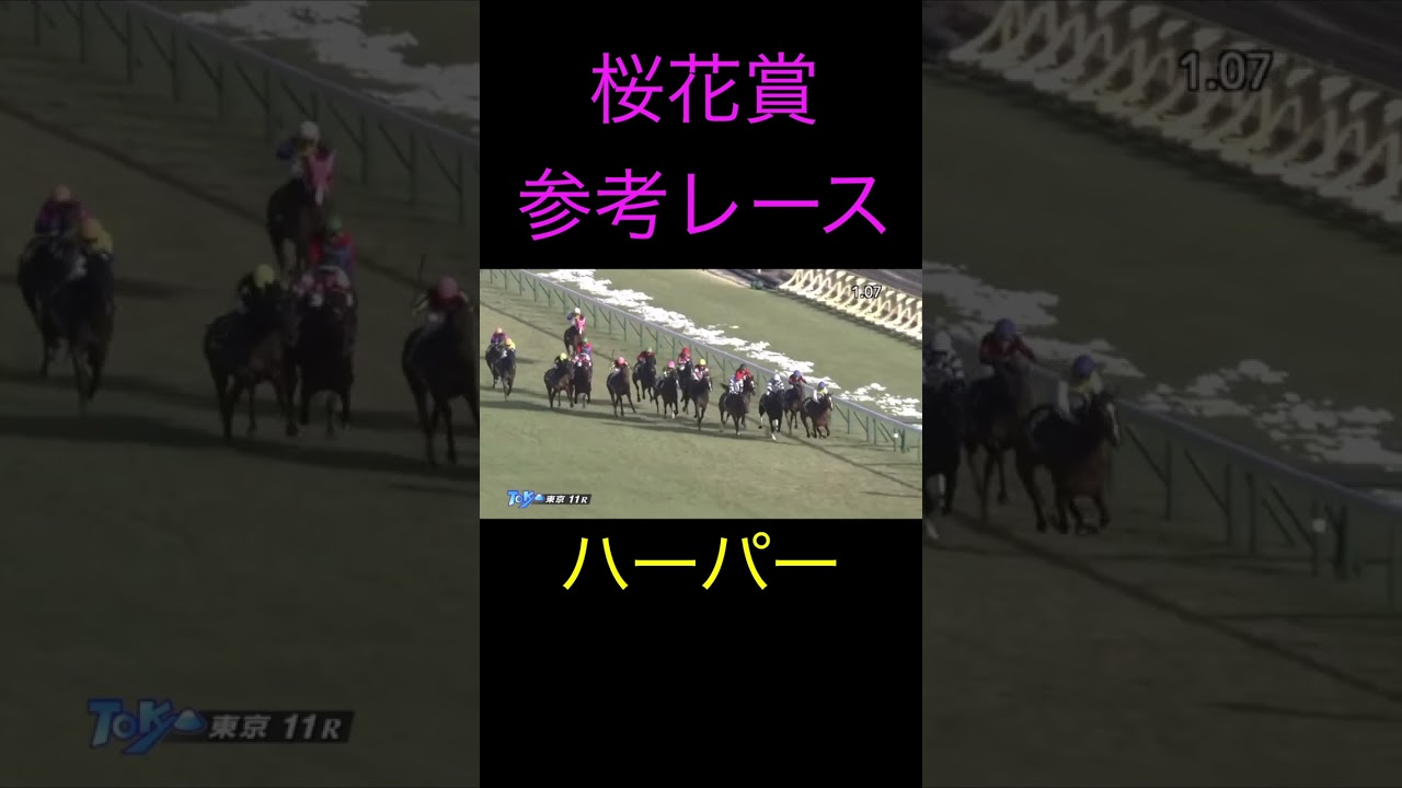 （切り抜き）桜花賞出走メンバー　前走　ハーパー　#shorts   #競馬  ＃参考レース　＃桜花賞　＃ハーパー　＃前走