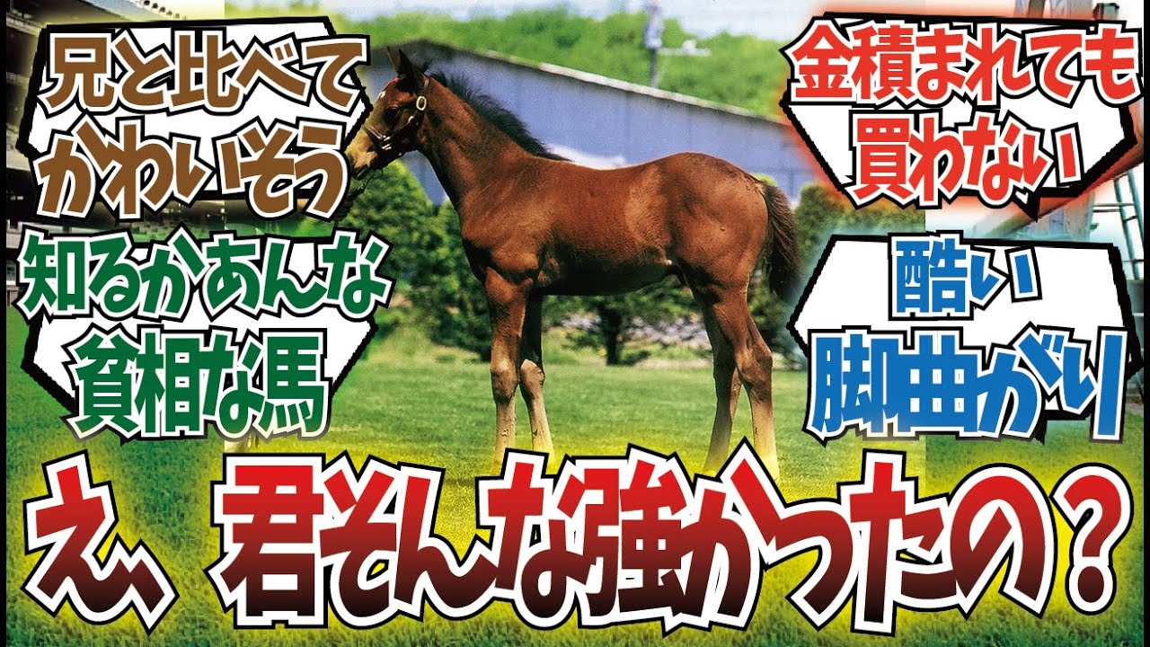 「名馬は幼少期舐められがち」に対するみんなの反応集