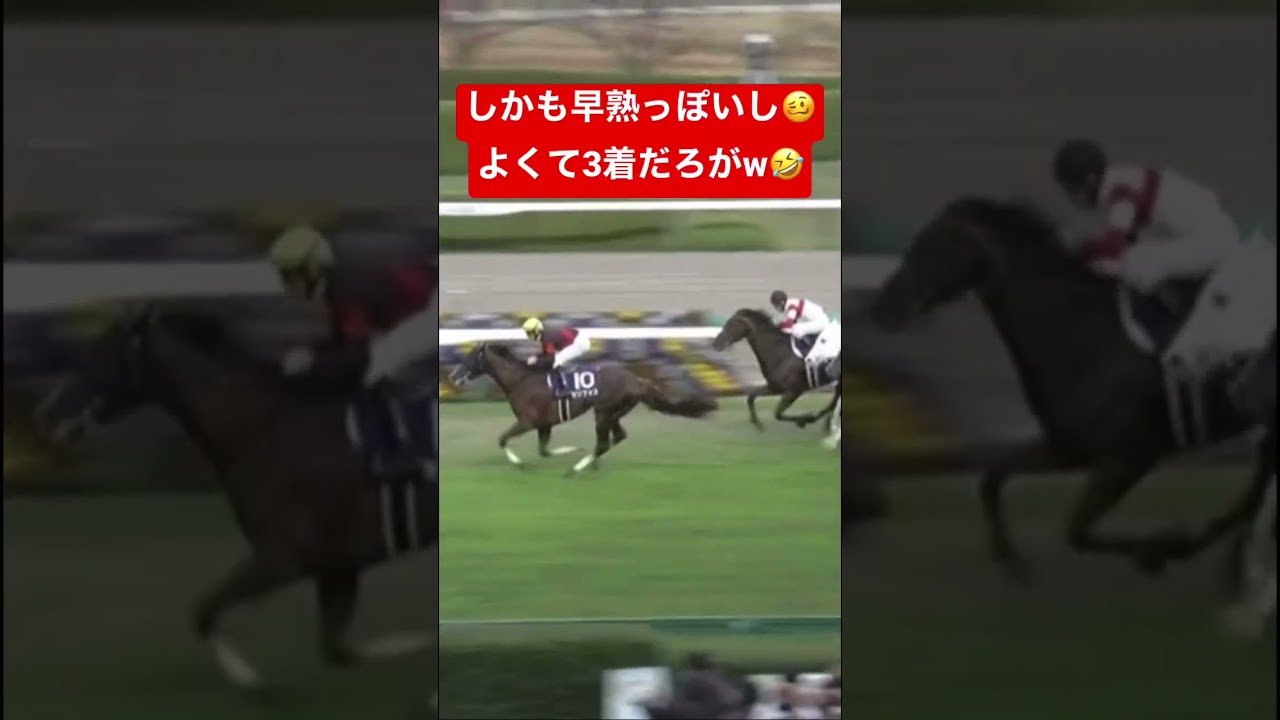 安田記念だけど…セリフォスなんてくるワケねーだろwww#競馬 #競馬予想 #セリフォス #安田記念