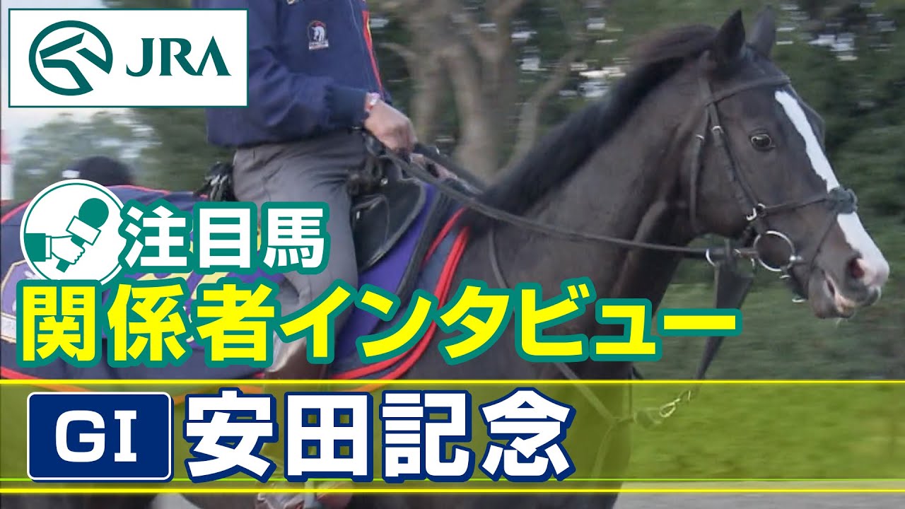 【注目馬 関係者インタビュー】2023年 安田記念｜JRA公式