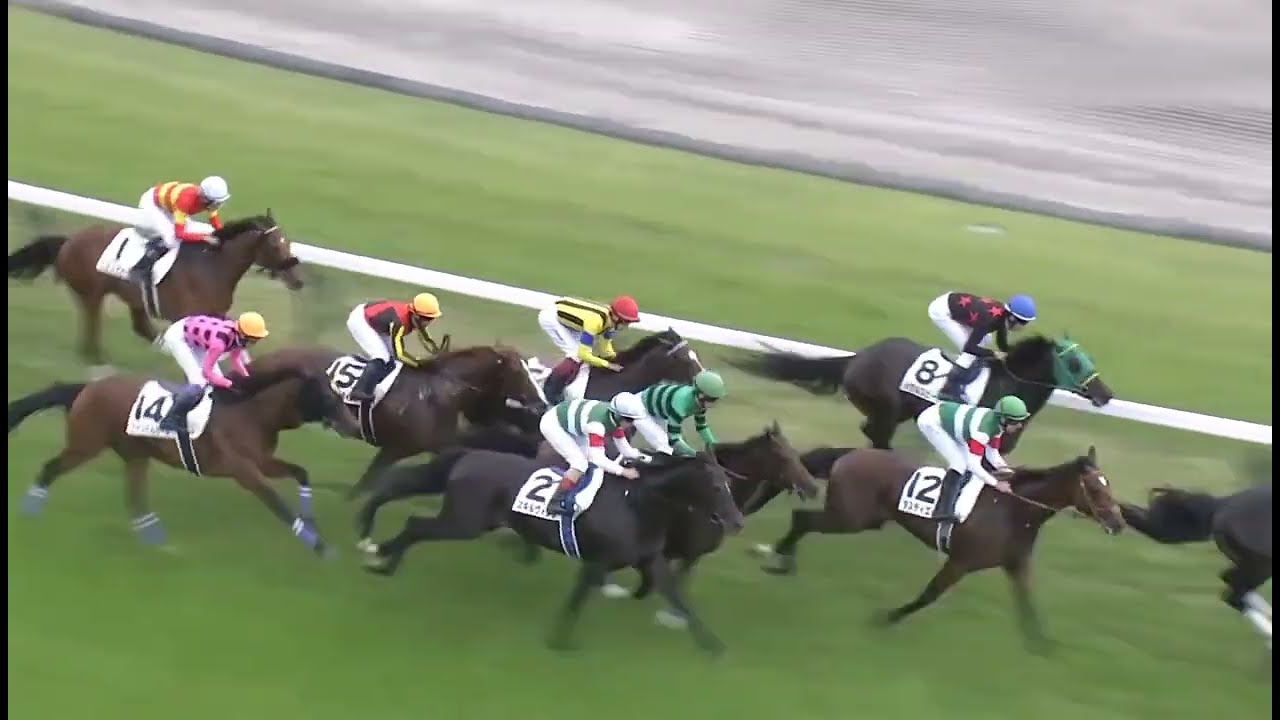 【後味悪いダービー】日本ダービー2023 タスティエーラ #競馬 #日本ダービー #タスティエーラ #キャロットクラブ #一口馬主 #後味悪い #東京競馬場