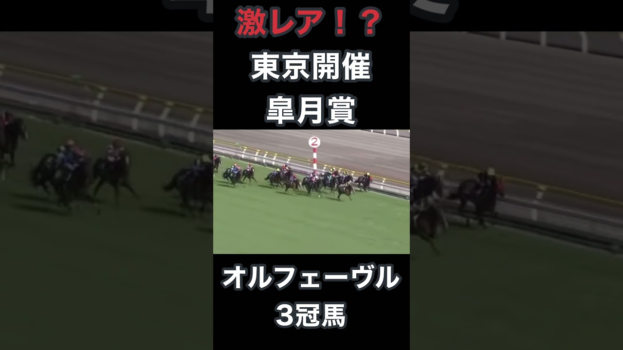 激レア！？東京競馬場開催の皐月賞、オルフェーヴル3冠馬