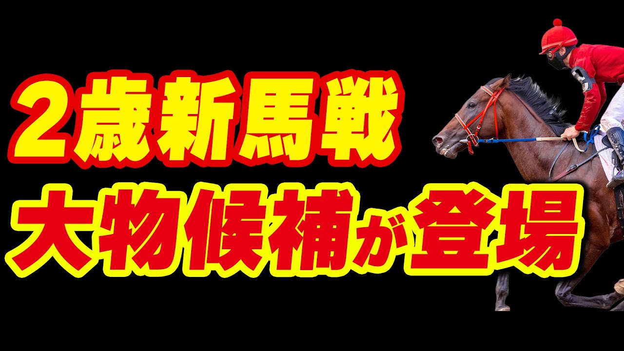 今週スタートの2歳新馬戦で、いきなり大物候補が登場！