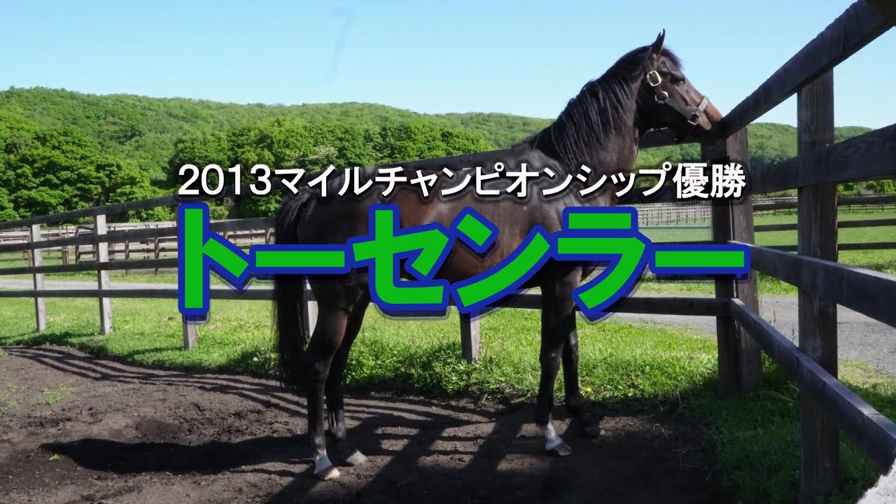 トーセンラー Tosen Ra～2013マイルチャンピオンシップ優勝